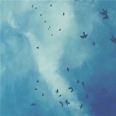 BOB半岛·体育官方平台